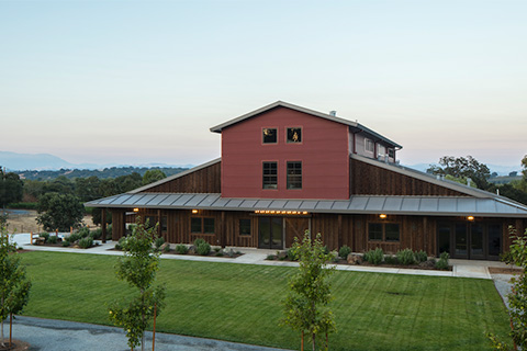 The Estate Lawn at Arista Winery